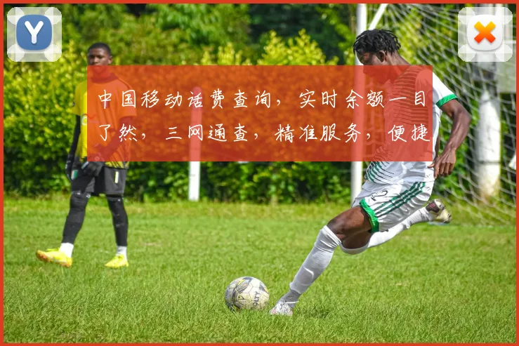 中国移动话费查询，实时余额一目了然，三网通查，精准服务，便捷快捷，轻松掌握。
