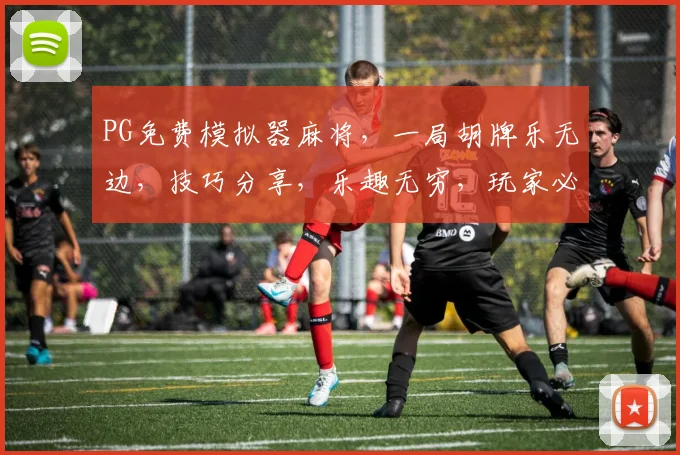 PG免费模拟器麻将，一局胡牌乐无边，技巧分享，乐趣无穷，玩家必备